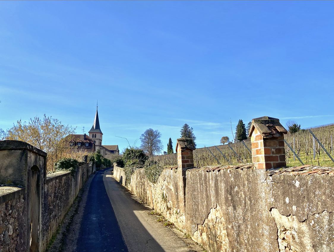 Weg am Weinberg in Barr im Elsass