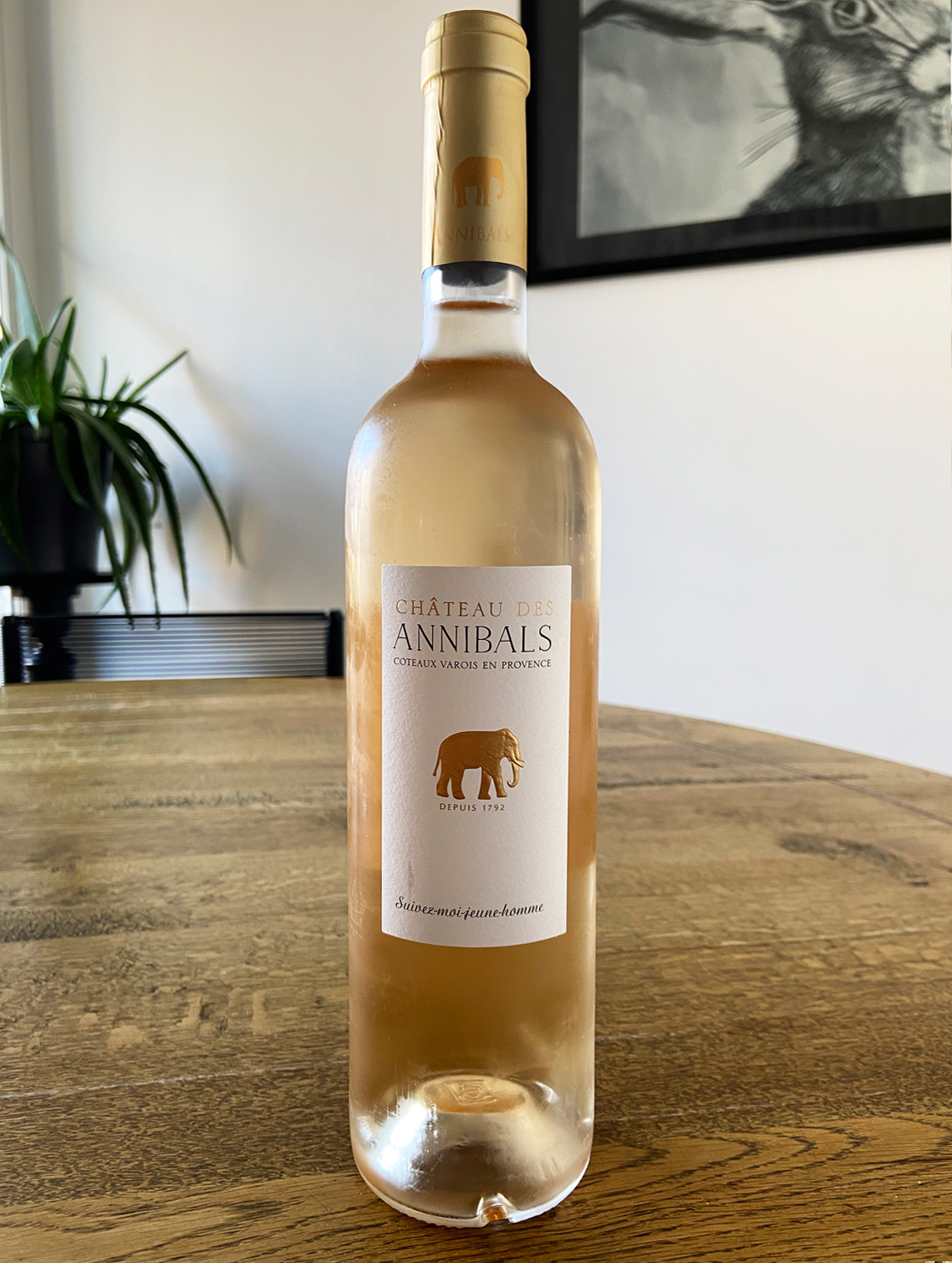 Roséwein Chateau des Annibals aus der Provence