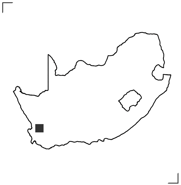 Südafrikanisches Weinanbaugebiet Stellenbosch